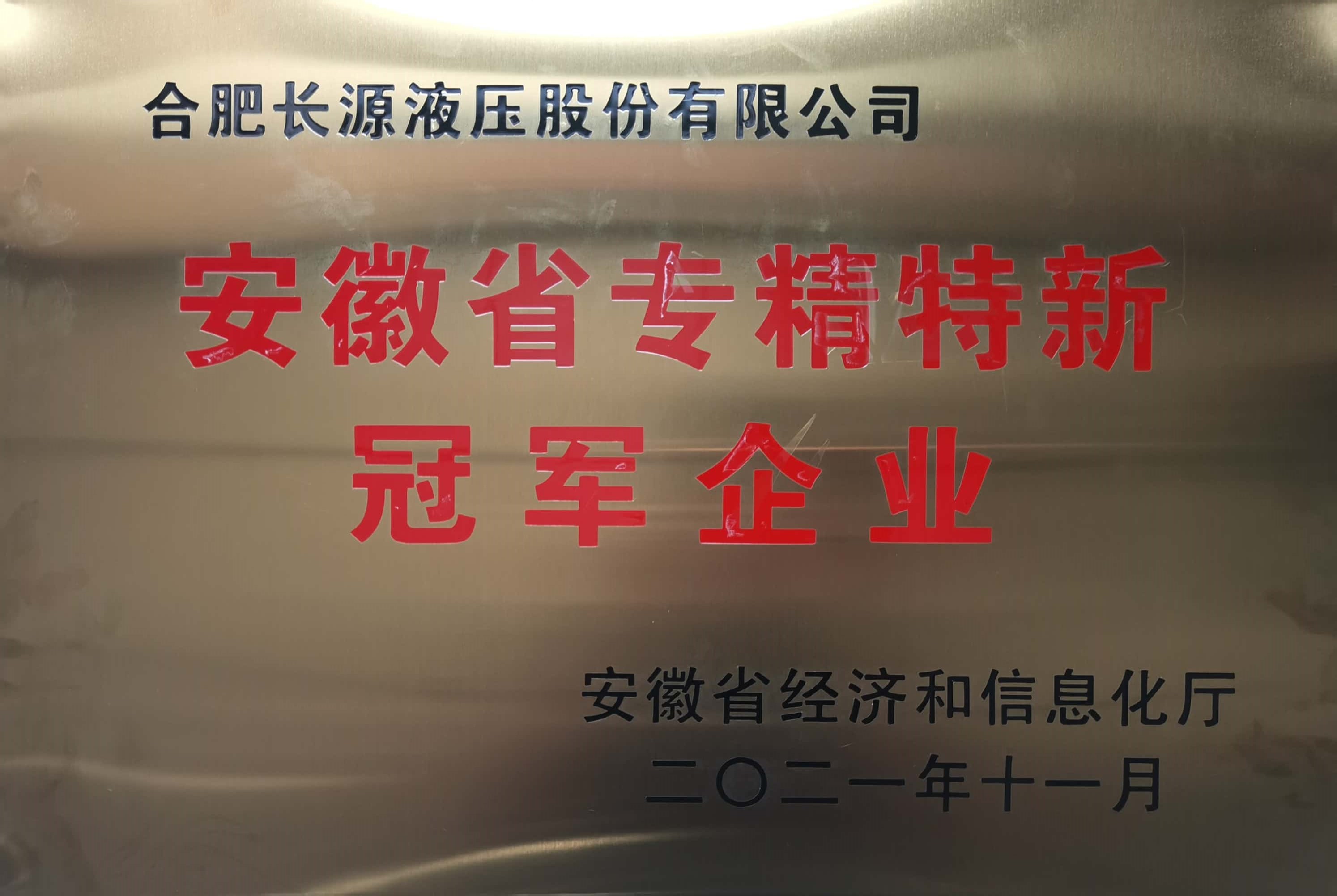 安徽省专精特新冠军企业